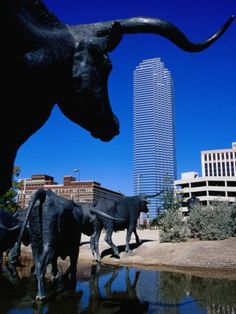 two statues of bulls in front of a city skyline