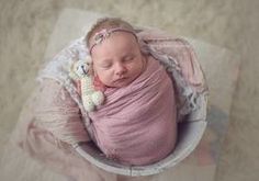 a baby wrapped in a pink blanket with a stuffed animal