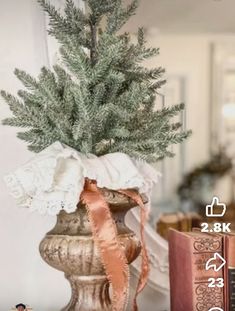 a small christmas tree in a vase next to an old book and some other decorations