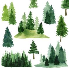 PRICES MAY VARY. Pine Tree Wall Decals: comes with 1 sheet (40x90cm/15.7x35.4 inches) watercolor green tree wall decals. Watercolor Tree Wall Decals: easy to use, just peel and stick, removable with no residue left. Woodland Tree Wall Stickers: made of high quality pvc material , reliable and safe to use, which are not easy to fall off or fade. Forest Tree Wall Decals: applied for any smooth, flat, clean surface, such as walls, windows, furniture, floor, glass, mirror, door. Pine Tree Wall Decor Wall Stickers For Nursery, Watercolor Pine Tree, Woodland Stickers, Tree Wall Decals, Cartoon Trees, Animal Wall Decals, Large Tree, Watercolor Tree, Tree Stickers