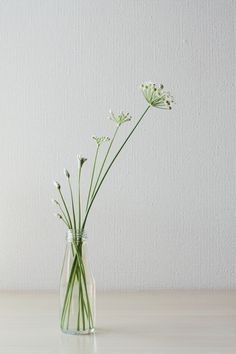 a glass vase filled with flowers on top of a table