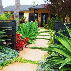 a garden with lots of plants in front of a house