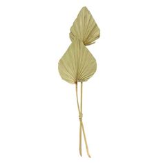 a large leaf shaped object on a white background with long thin sticks sticking out of it's center