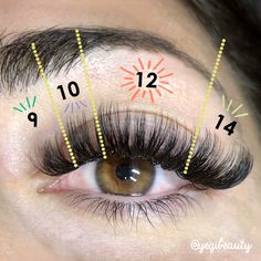 Volume Wet Look Lashes, Lash Map Wet Look, Wet Lash Cat Eye, Wet Look Lash Extensions Map, 14mm Lash Extensions, Volume Cat Eye Lash Extensions Mapping, Lash Extensions Wet Set