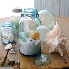 glass jars filled with sea shells and seashells