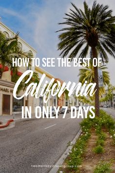 palm trees and buildings with the words how to see the best of california in only 7 days