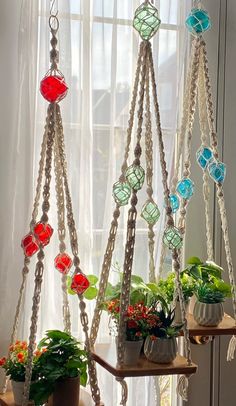 some plants are hanging from chains in front of a window