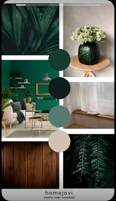 a collage of photos with green plants and furniture in the background, along with text that reads home love