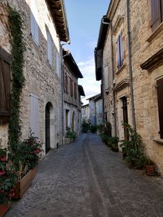 an alley way with stone buildings and potted plants