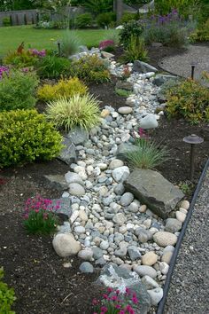 a garden with lots of rocks and plants in the center, along with gravel paths