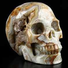 a marbled skull is shown on a black background with white and brown accents,