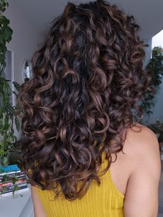 Partial Highlight Curly Hair, Black Curly Highlights, Coloured Curly Hair Highlights, Dark Brown Hair Curly Natural, Curly Hair Colour Ideas Natural Curls, Dark Balayage Curly Hair, Mocha Brown Curly Hair, Chocolate Balayage Curly Hair, Afro Balayage