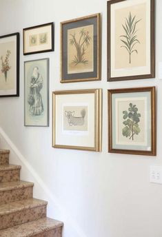 some framed pictures are hanging on the wall next to a set of stairs with handrails