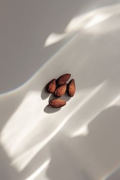 two almonds sitting on top of a white surface