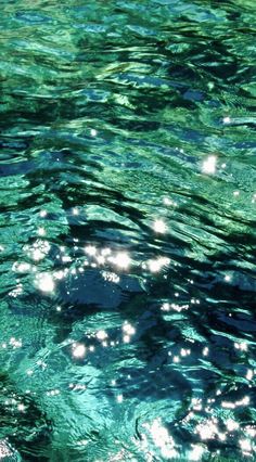 the water is very clear and green with little white dots on it's surface