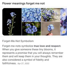 the flowers are blue and white in color, with words above them that read flower meaningss forget not symbleism