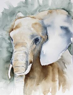 an elephant is painted in watercolor and has white tusks on it's head