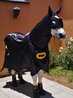 a statue of a horse wearing a batman costume