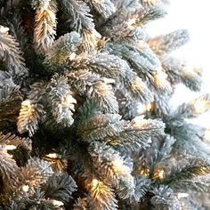 a close up view of the branches of a christmas tree