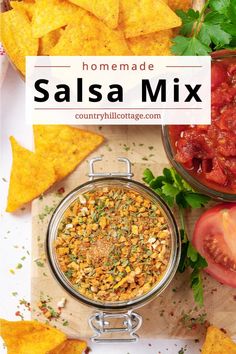 homemade salsa mix with tortilla chips and tomatoes