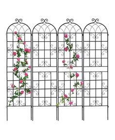 three wrought iron garden gates with pink roses growing on the top and bottom, all set against a white background