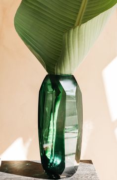 a green vase sitting on top of a wooden table next to a leafy plant