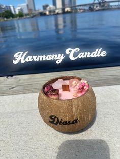 a close up of a drink in a coconut shell with the water and buildings in the background