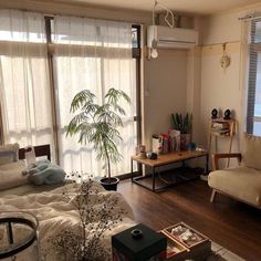 a living room filled with furniture and a plant in the middle of it's center