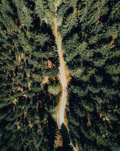 an aerial view of a road in the middle of a forest with lots of trees