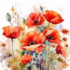 watercolor painting of red poppies with green stems and orange flowers on white background