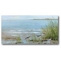 a painting of birds on the beach with grass and water in the background at low tide