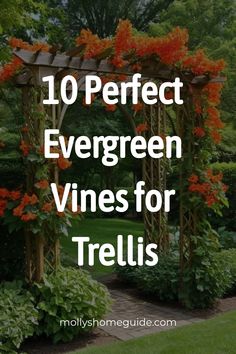 the words 10 perfect evergreen vines for trelliss in front of a garden with orange flowers