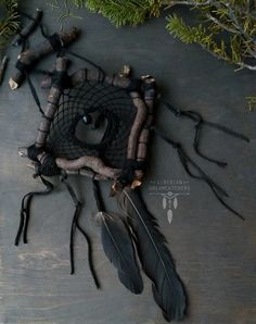 an overhead view of a dead insect on the ground next to some branches and grass