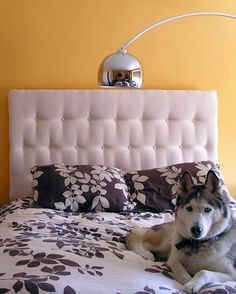 a dog laying on top of a bed next to a lamp