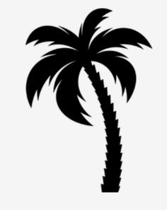 a black and white silhouette of a palm tree