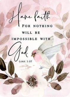 a pink and white floral frame with a bible verse on the bottom that says, have faith for nothing will be impossible with god