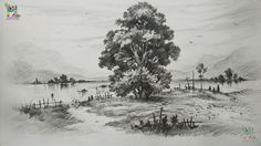 a pencil drawing of a tree in the middle of a lake