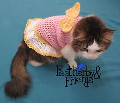 a cat wearing a dress on top of a blue surface with the caption feathersby friends