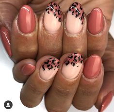 Leopard Print Biab Nails, Simple Cheetah Nails, Cheetah Print Nail Designs, Burgundy And Cheetah Nails, Short Nail Cheetah Designs, Fall Nails 2024 Leopard, Maroon Cheetah Nails, Oct Nails, Leopard Accent Nail Fall