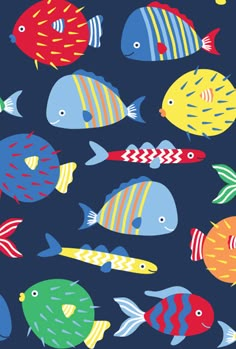 colorful fish on a dark blue background