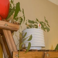 a potted plant sitting on top of a wooden shelf next to a white vase