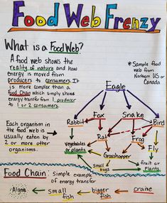 food web frenzy anchor chart for students to use in their writing and speaking skills