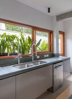 a kitchen with two sinks and green plants in the window