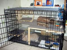 a caged in animal house with a small rabbit inside and other items on the floor