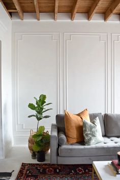 a living room with a couch, coffee table and potted plant in the corner