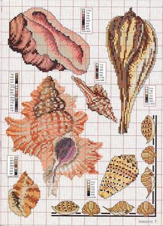 cross stitch pattern with seashells and shells