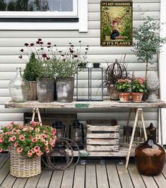 an outdoor area with potted plants and flowers