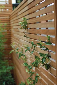 a wooden fence with plants growing on it