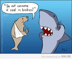 a shark and a bear are talking to each other