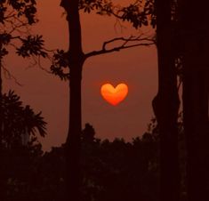 the sun is setting behind some trees with a heart shaped object in the sky above